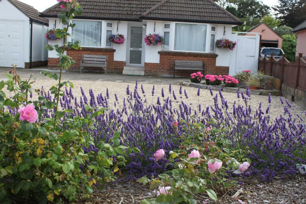 Avon Breeze Bed and Breakfast Christchurch  Buitenkant foto